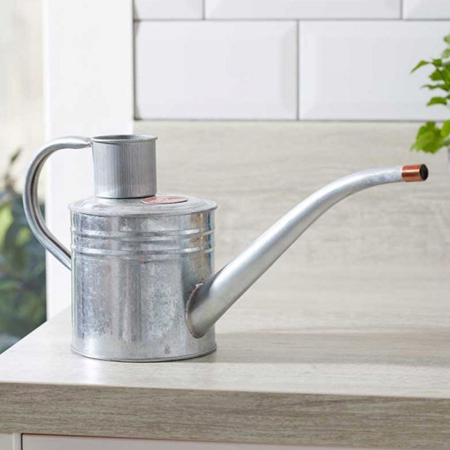 Gietblikken kleine gieter binnen sappige plant lange mond gieter 500ml indoor gieter (kleur: fotokleur, maat: één maat Gietblikken kleine gieter binnen sappige plant lange mond gieter 500ml indoor gieter (kleur: fotokleur, maat: één maat